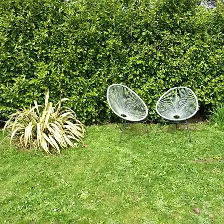 Mulberry Frühstückspension 3*