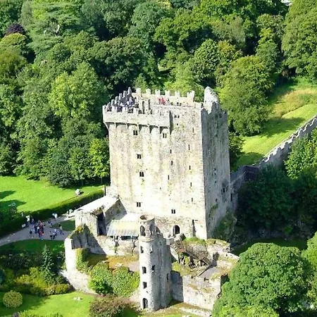 Mulberry Отель типа 