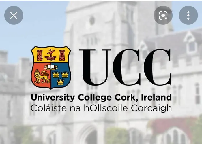 Mulberry 3* Бларни