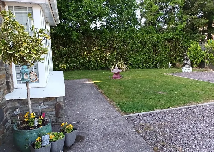 Mulberry 3* 블라니